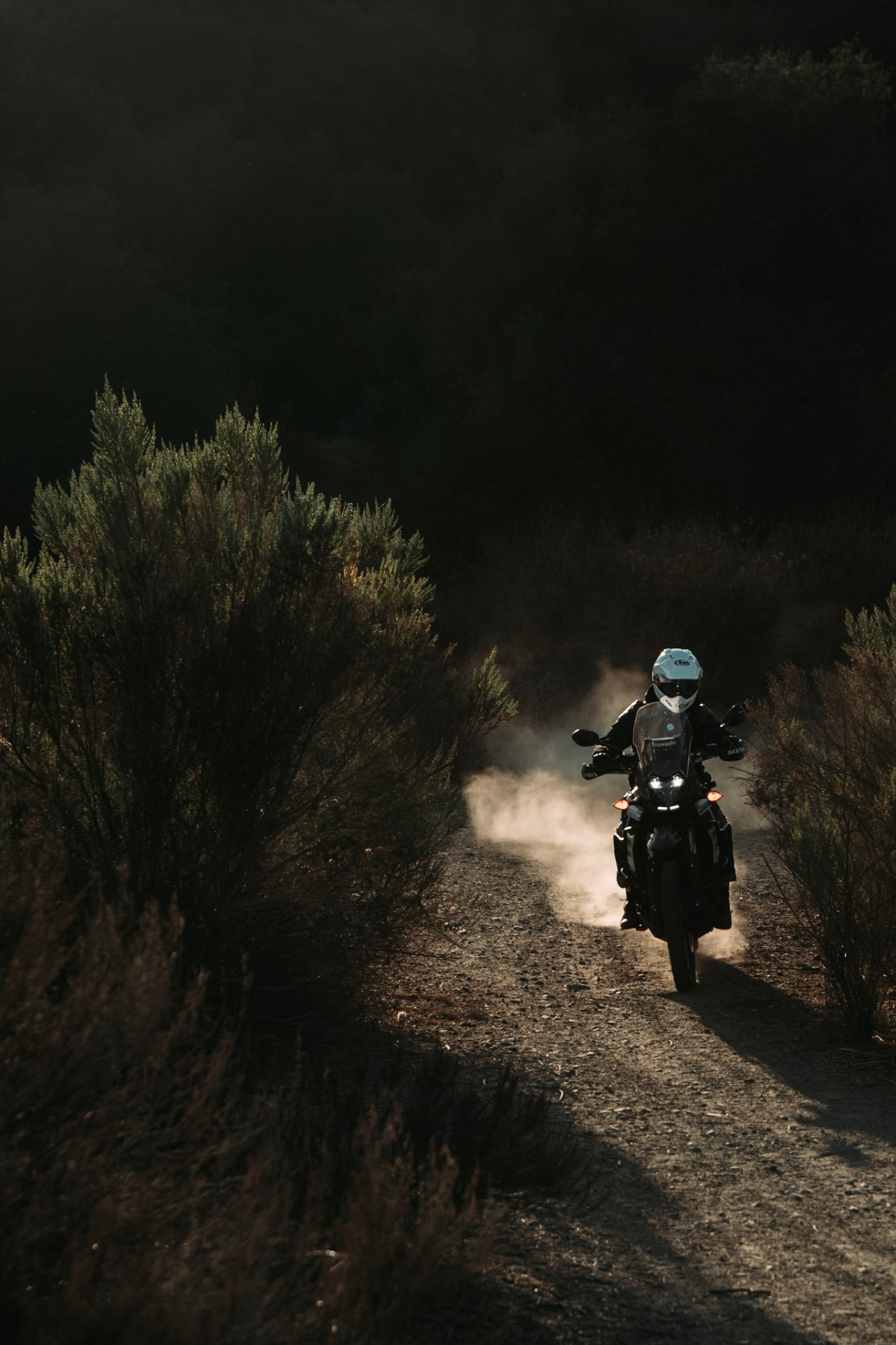 Pausing on a Yamaha Ténéré at the edge of a quiet wooded trail